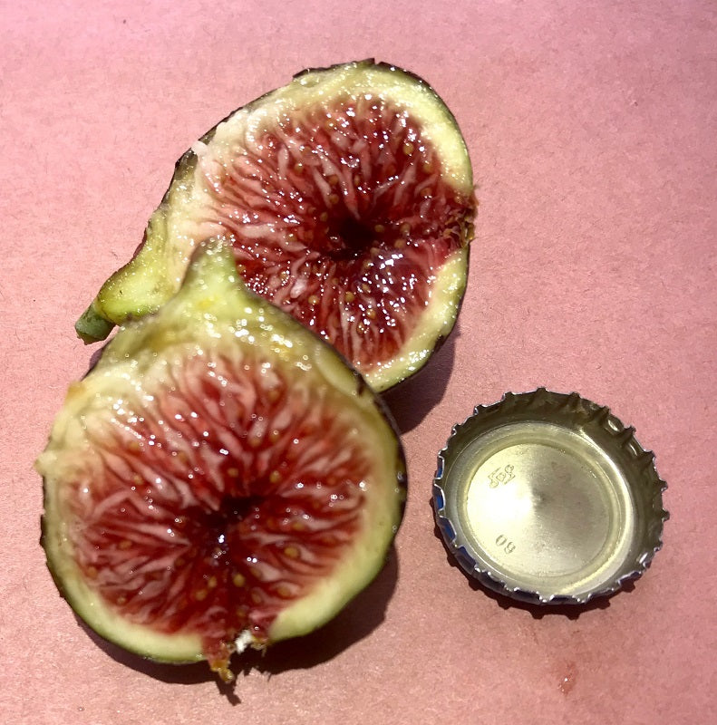 Black Tuscan Fig Fruit