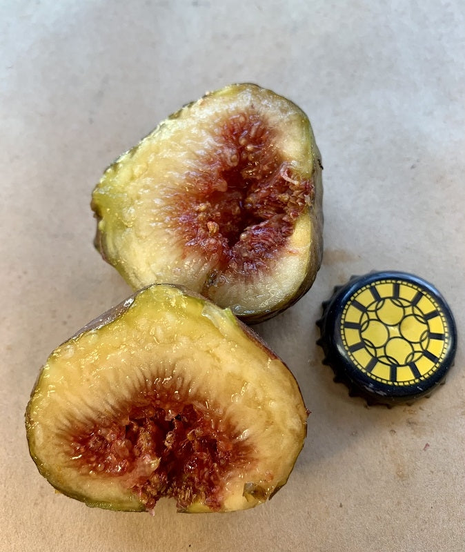 Black Zadar Fig Fruit