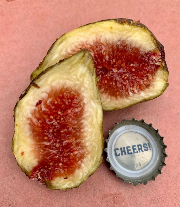 Boulevard Unknown Fig Cross Section