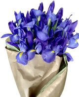 Blue iris in a wrapped bouquet