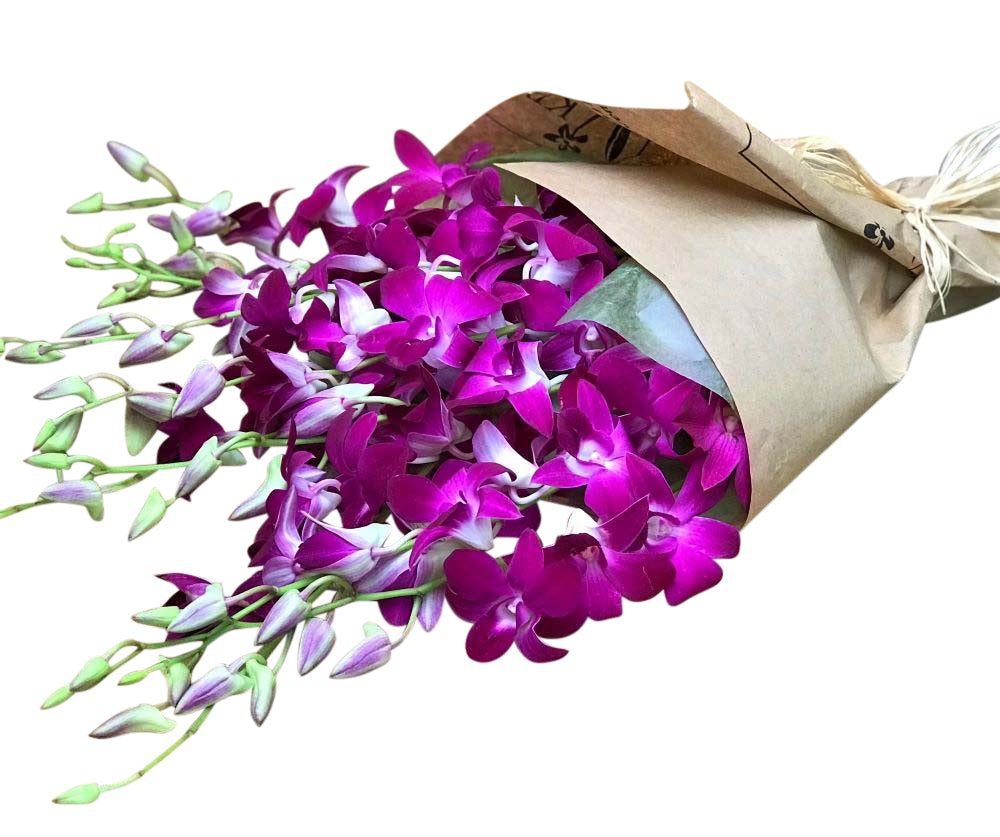 Dendrobium orchids in a wrapped bouquet