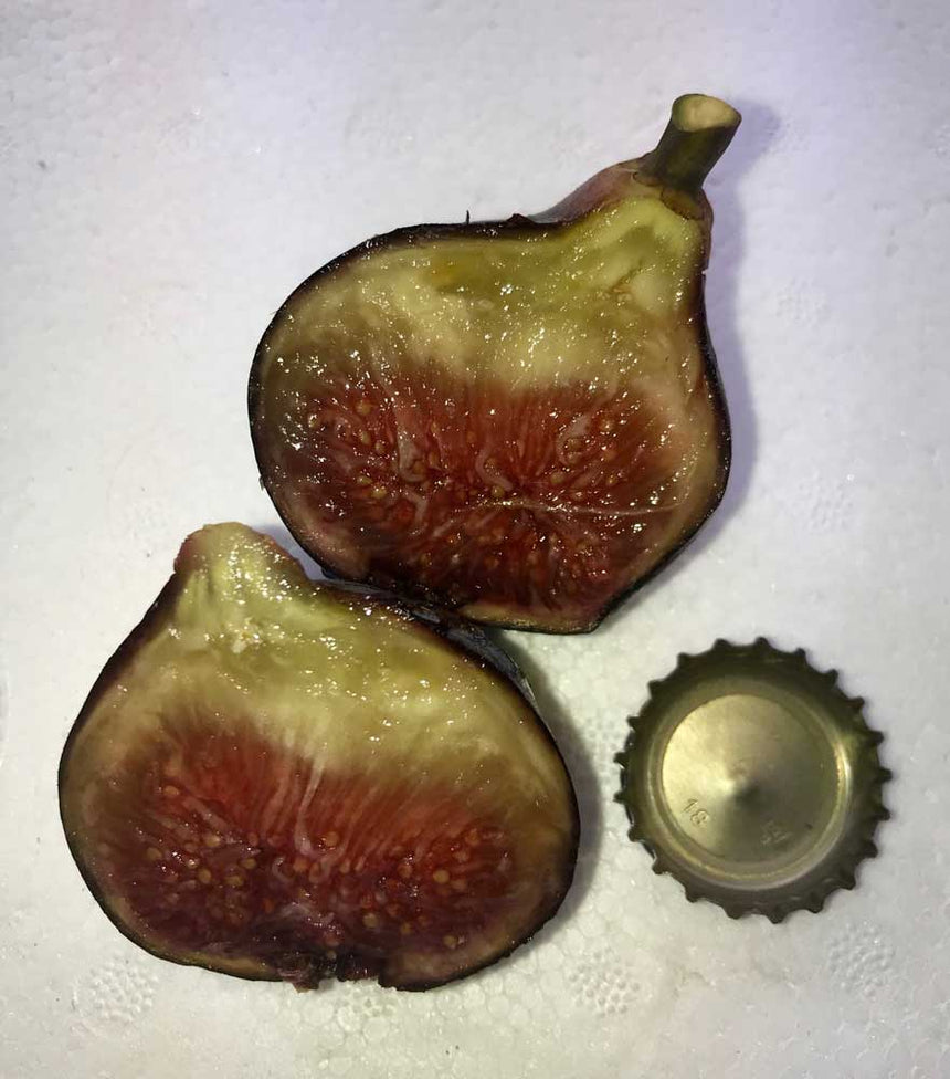 Bourjasotte Noire Fig cut in half