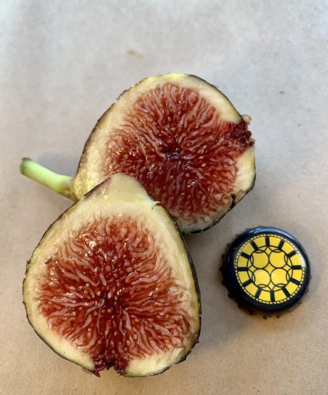 Calderona Fig Fruit Cross Sectional 