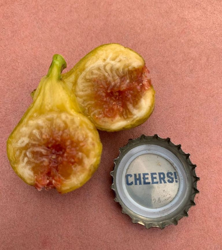 Campaniere Fig Fruit Cross Section