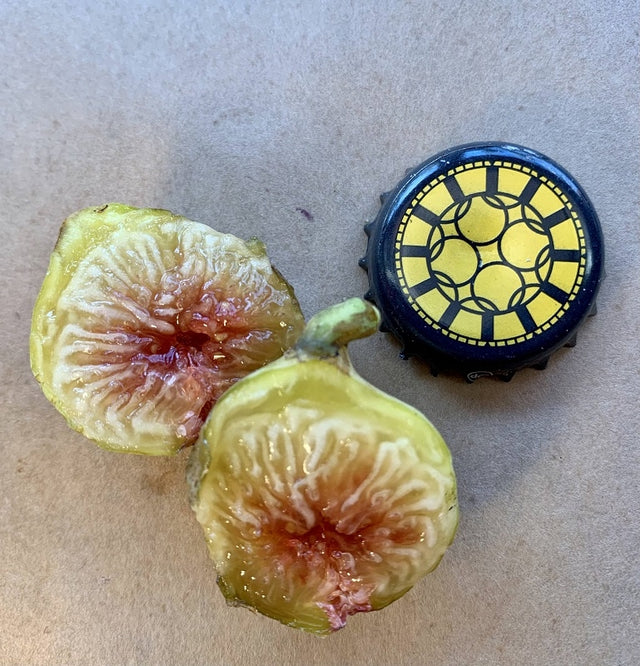 Campaniere Fig Fruit