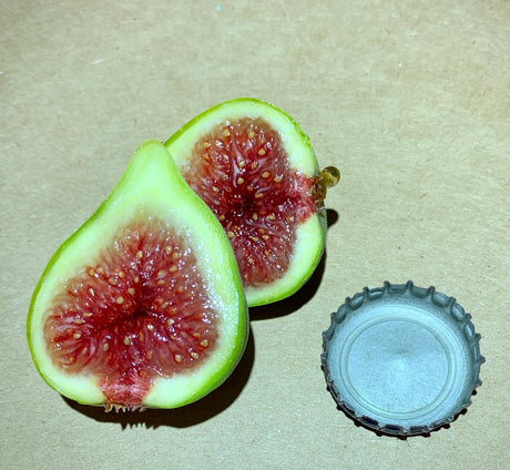 Cardenillo Fig Fruit