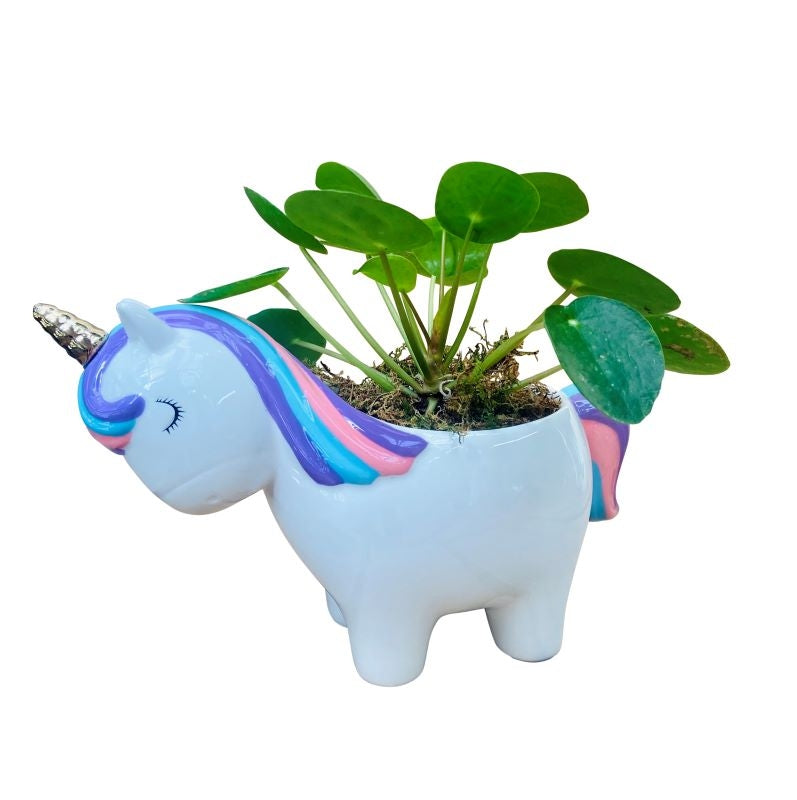 Ceramic Unicorn Pilea Planter