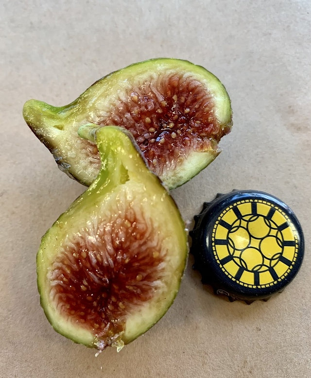 Cessac Fig Fruit