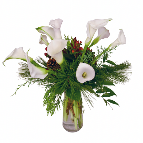 12 Christmas Calla lilies in cylinder case with pine cones and holiday accents