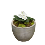 Concrete Violet Planter - Standard