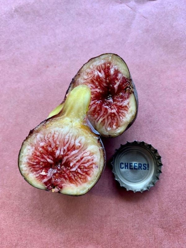 Craven's Craving Fig