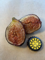 Dans BB-10 Fig Fruit