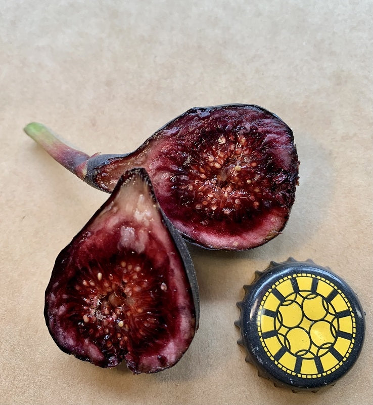 De s'Avenc Fig Fruit