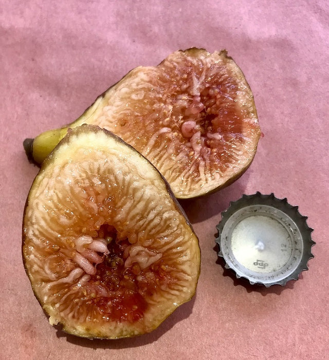 Easton Purple Fig Fruit Cross Section