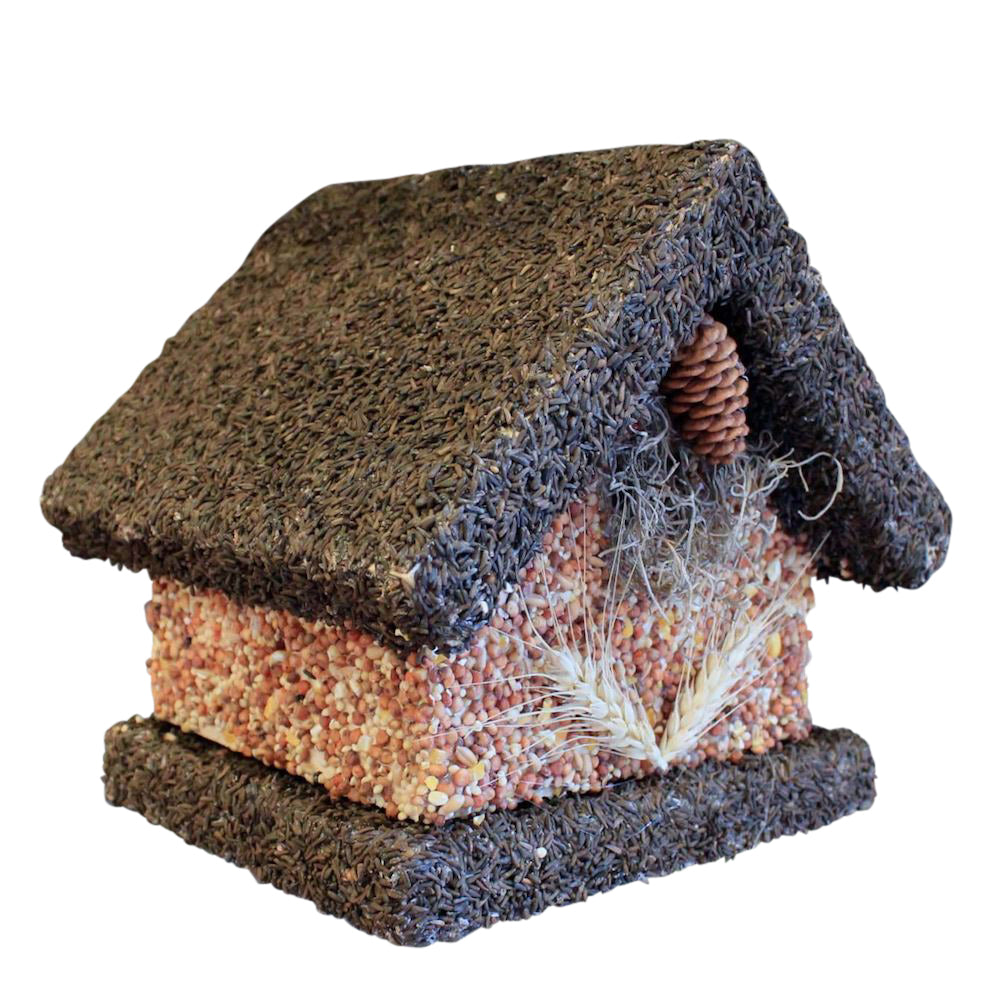 Edible Birdhouse with bird seed