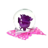 Enchanted Beauty Rose Globe- Purple