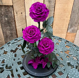 Enchanted Beauty Triple Rose - 