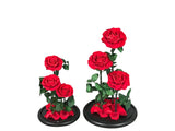 Enchanted Beauty Triple Rose - Sizes