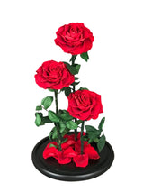 Enchanted Beauty Triple Rose - Red