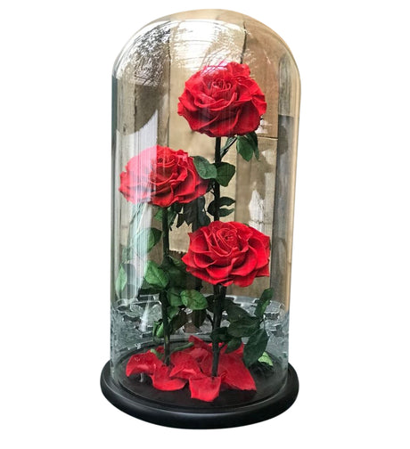 Enchanted Beauty Triple Rose 