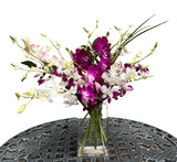 Exquisite exotics vase of dendrobium orchids Standard