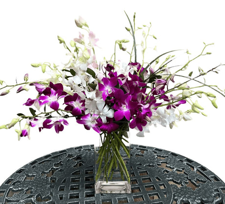 Exquisite exotics vase of dendrobium orchids Deluxe