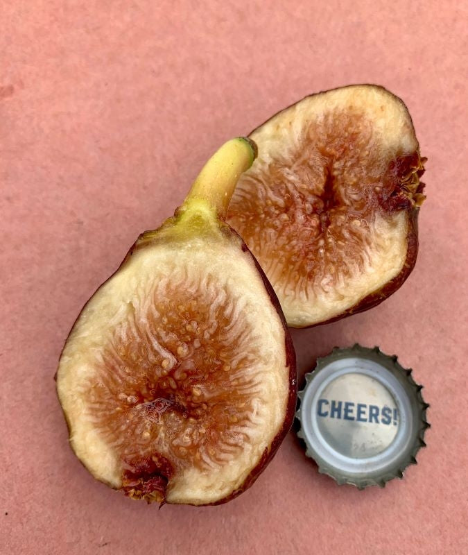 Exquisito Fig Fruit Cross Section