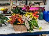 Fall Flowering Planter