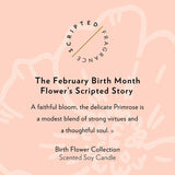 February Birthday Flower Candle Description