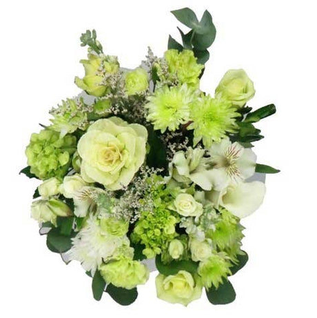 White Feel Special Bouquet Premium