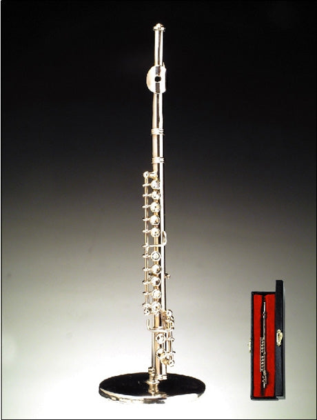 Flute with Case