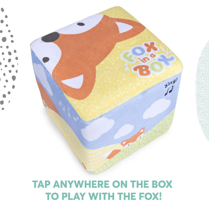 Fox In A Box Closed Toy