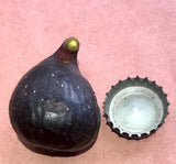 Galicia Negra Fig