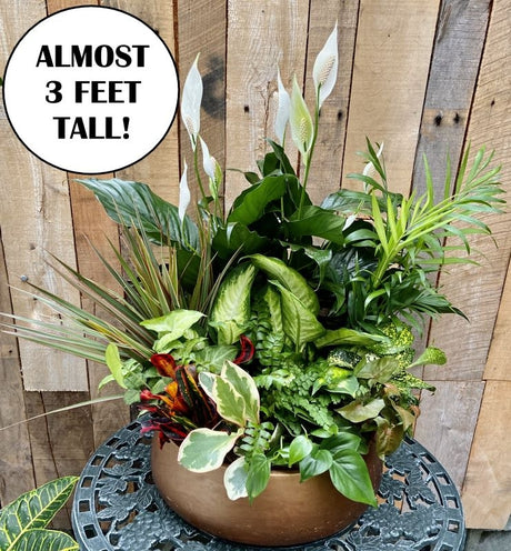 Ginormous European Planter (with text) 