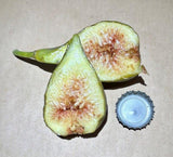 The Godfather Fig Fruit