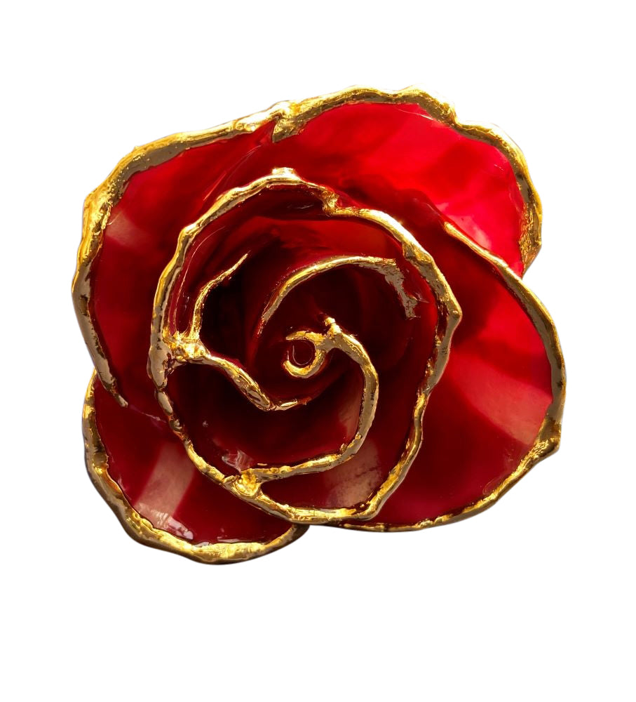 Gold Dipped Abracadabra Rose