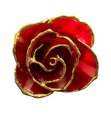 Gold Dipped Abracadabra Rose