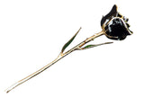 Gold Dipped Black Rose Stem