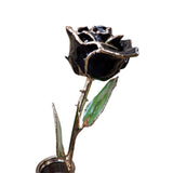 Gold Dipped Black Rose