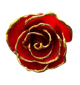 Gold Dipped Burgundy Rose