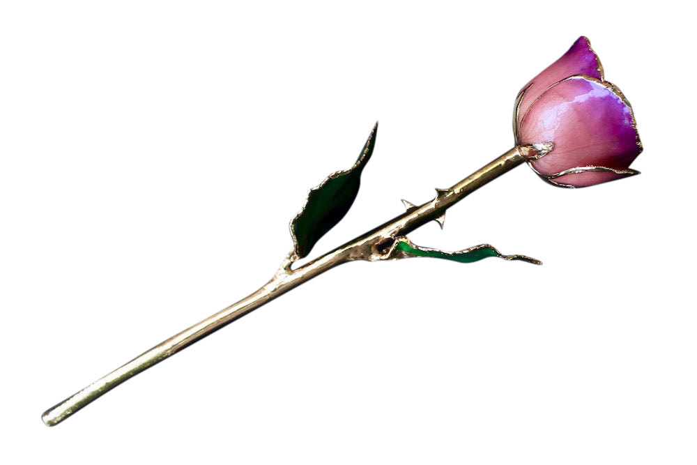 Gold Dipped Pink Amethyst Rose Stem