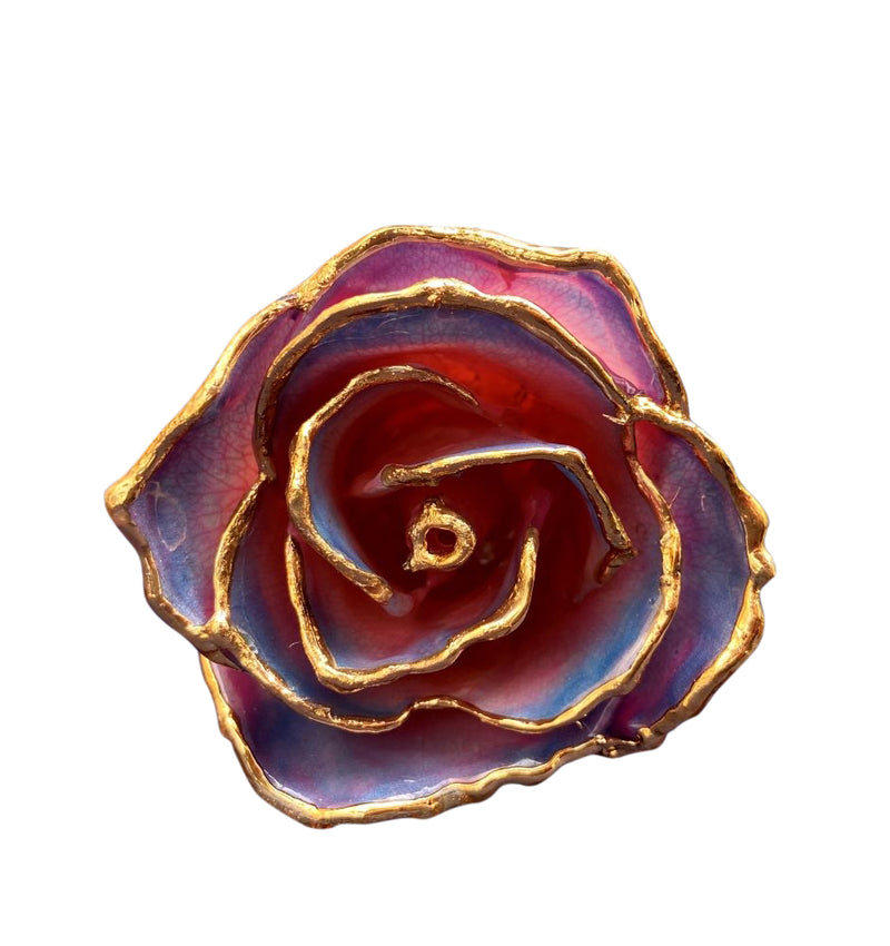 Gold Dipped Pink Navy Rose