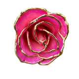 Gold Dipped Pink Picasso Rose