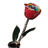 Gold Dipped Rainbow Rose