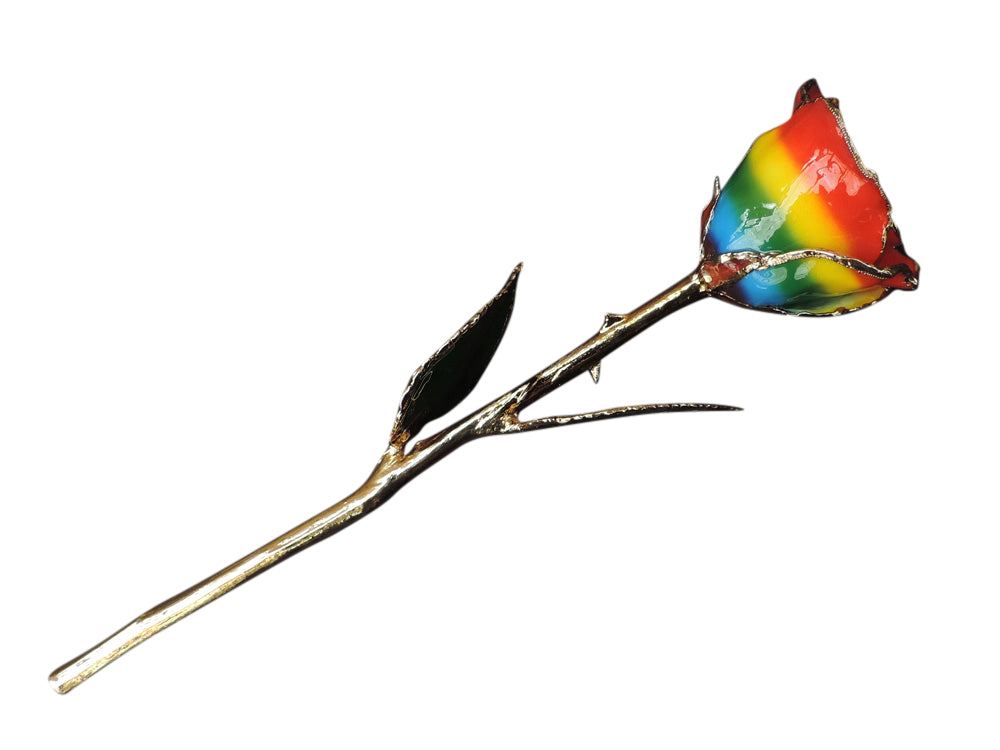 Gold Tipped Rainbow Rose