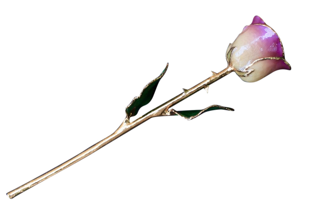 Gold Dipped White Amethyst Rose Full Stem