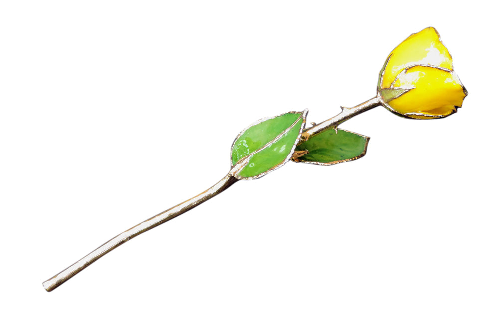 Gold trimmed yellow rose stem