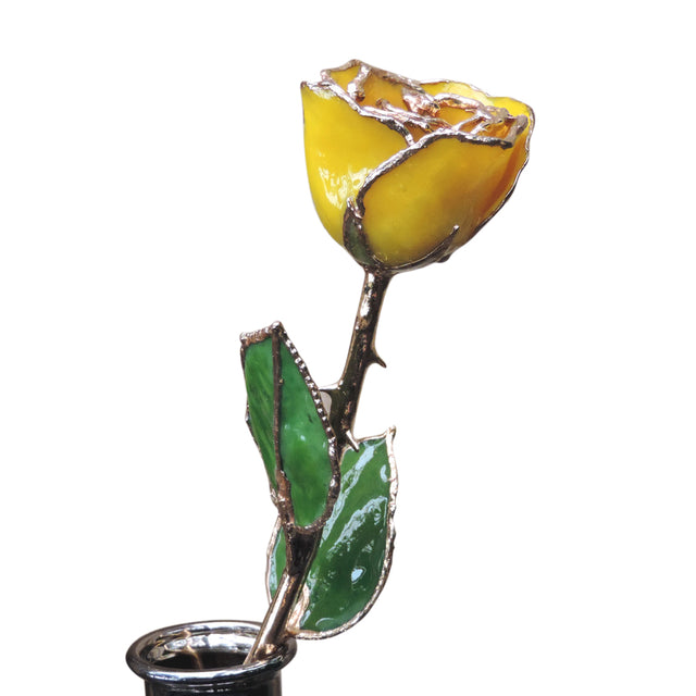 Gold dipped yellow rose