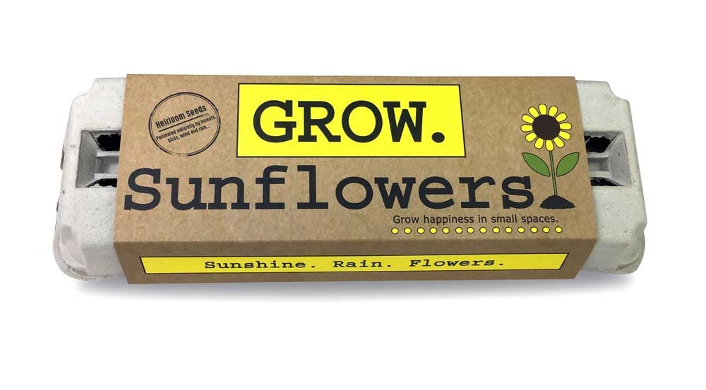 Sunflower Growing Kit