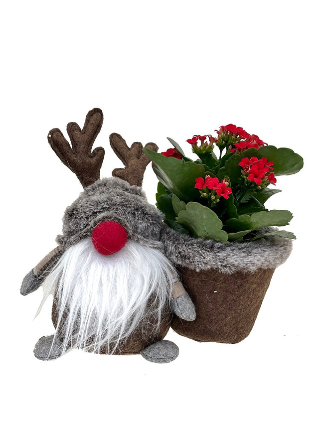 Gustav the Deer Gnome Planter